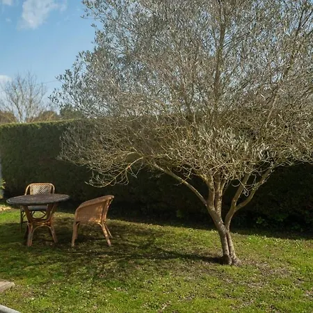 Oleronaise Avec Jardin Jacuzzi Et Barbecue Le Château-dʼOléron